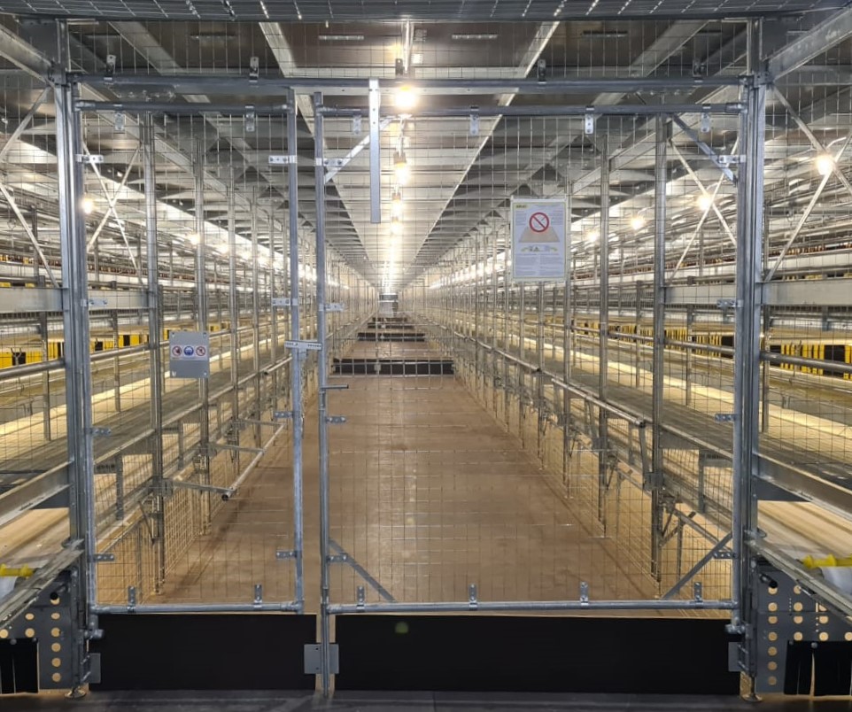 portfolio item image